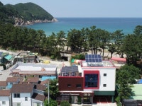 삼척 로뎀트리