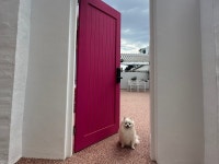 컴페니언 바이 주문진