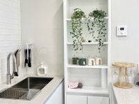 컴페니언 바이 주문진