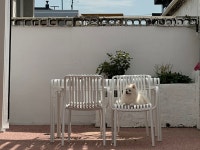 컴페니언 바이 주문진