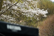 숲323펜션(2024신규오픈)