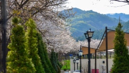 살롱드방동
