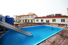 충청보령삽시도아로니아