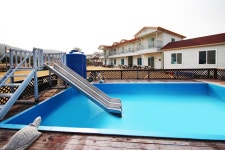 충청보령삽시도아로니아