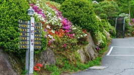 평창 그린힐펜션