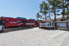 강릉 스테이소솜