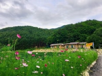 화천 내산뜰 펜션