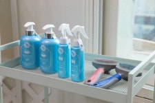 까망베르 애견 풀빌라 2호점