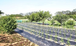 아쿠아피아하우스