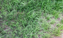 아쿠아피아하우스