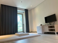 인제 자작나무 스테이