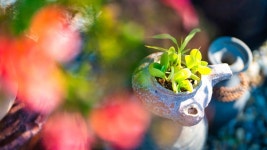 경주해나스테이