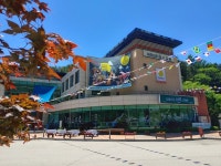 인제 리조트&캠핑 라이프위드도그(반려견동반가능)