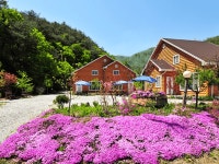 양구 고향의봄 펜션