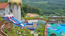 평창 숲속의요정