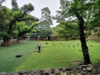 아라팰리스 호텔