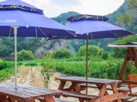 원주 소금산 민박