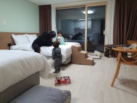 하이 제주 호텔