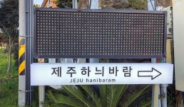 제주하늬바람