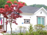 홍천 숲속맘 펜션