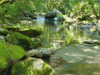 화천 산꾼의집 펜션