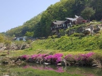 원주 미륵산계곡꿈의궁전마을 펜션