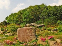 원주 미륵산계곡꿈의궁전마을 펜션