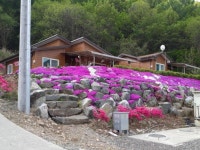 횡성 모꼬지 펜션