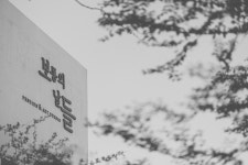 보통의날들