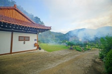 꿈의정원 독채 펜션