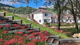 합천호 스마일펜션