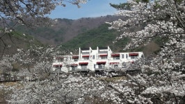 메이플밸리