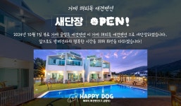 거제 해피독 애견펜션 (풀빌라, 애견전용)