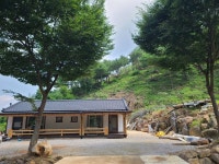 최영골민박