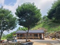 최영골민박