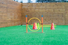 태안 멍스클럽애견풀빌라