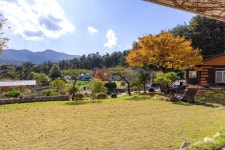 강릉 정감이간다