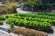 강릉 정감이간다