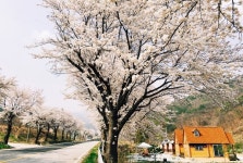 영주 소백산자연누리펜션