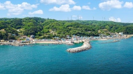 펜션대부리320