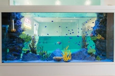 피코키즈풀빌라 부산