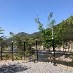 경호강캠핑장