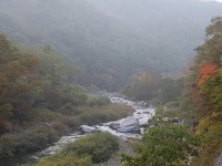 깊은골캠핑장