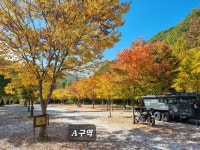 캠프더포레
