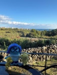 스테이 인 제주