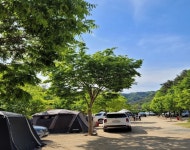 영양수비별빛캠핑장