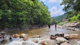 영양수비별빛캠핑장