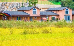 순천 솔향기펜션(애견동반가능)