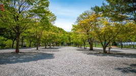 가평 청정캠핑장