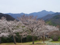 지리산 대경캠핑장